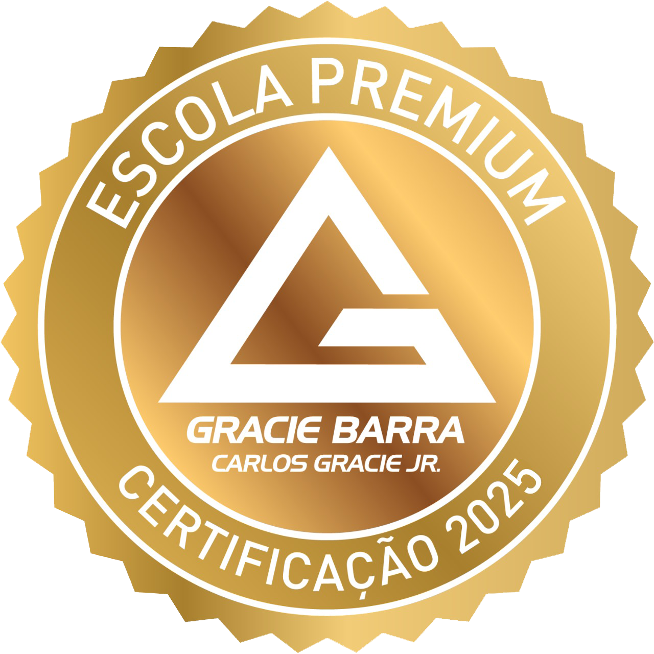 Gracie Barra Piedade- Premium School
